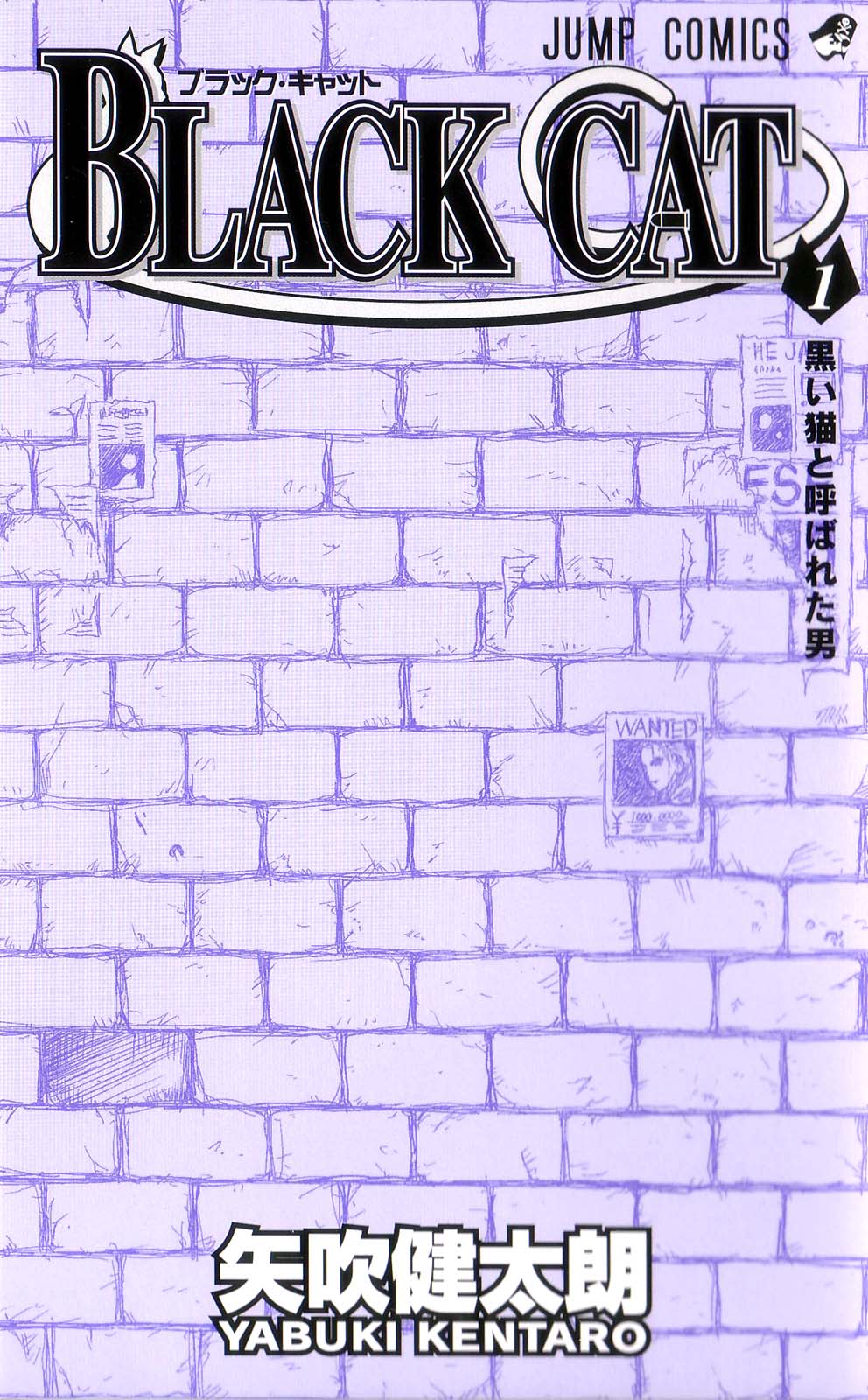 Black Cat 第2页