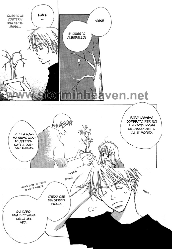 Shokugyou Tenshi L'uomo albero 第17页