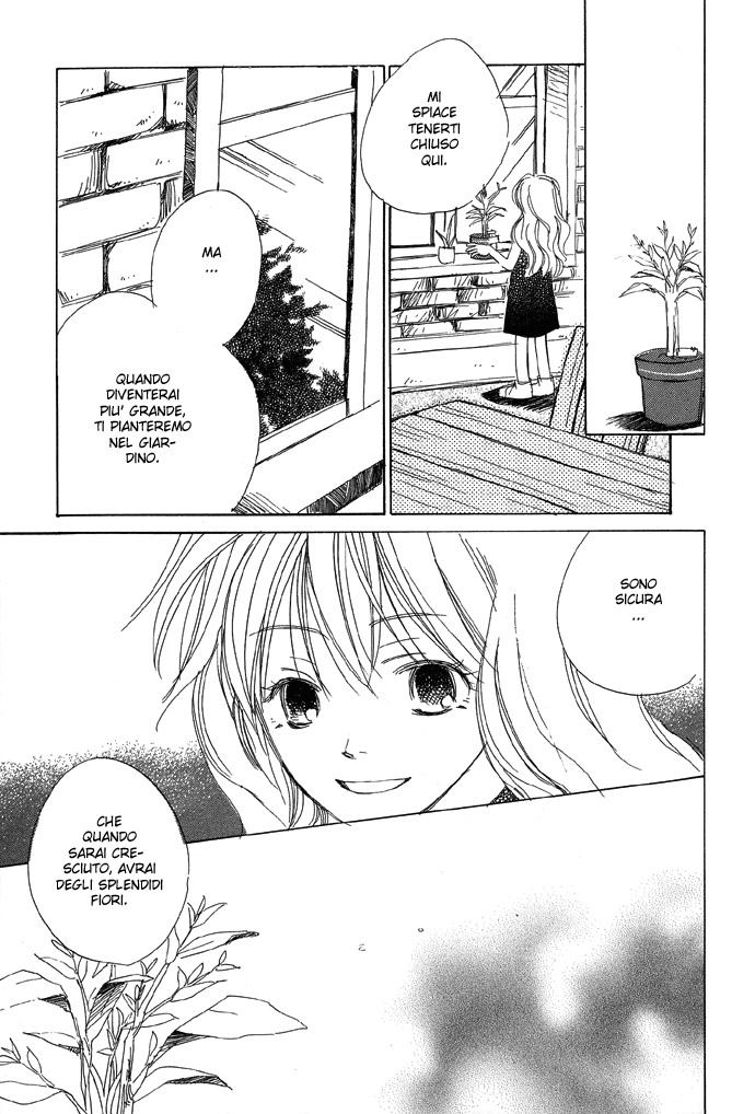 Shokugyou Tenshi L'uomo albero 第47页