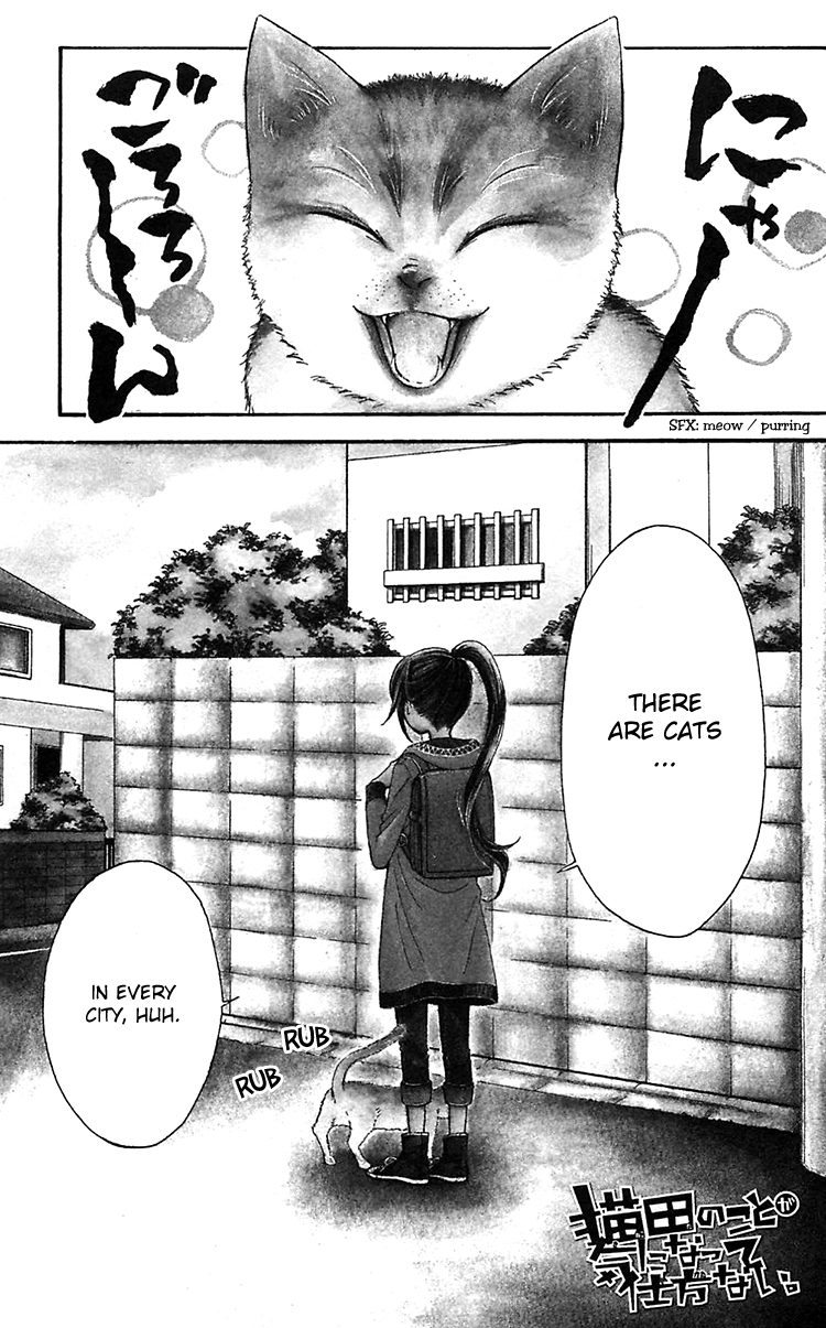 Nekota no Koto ga Ki ni Natte Shikatanai 第7页