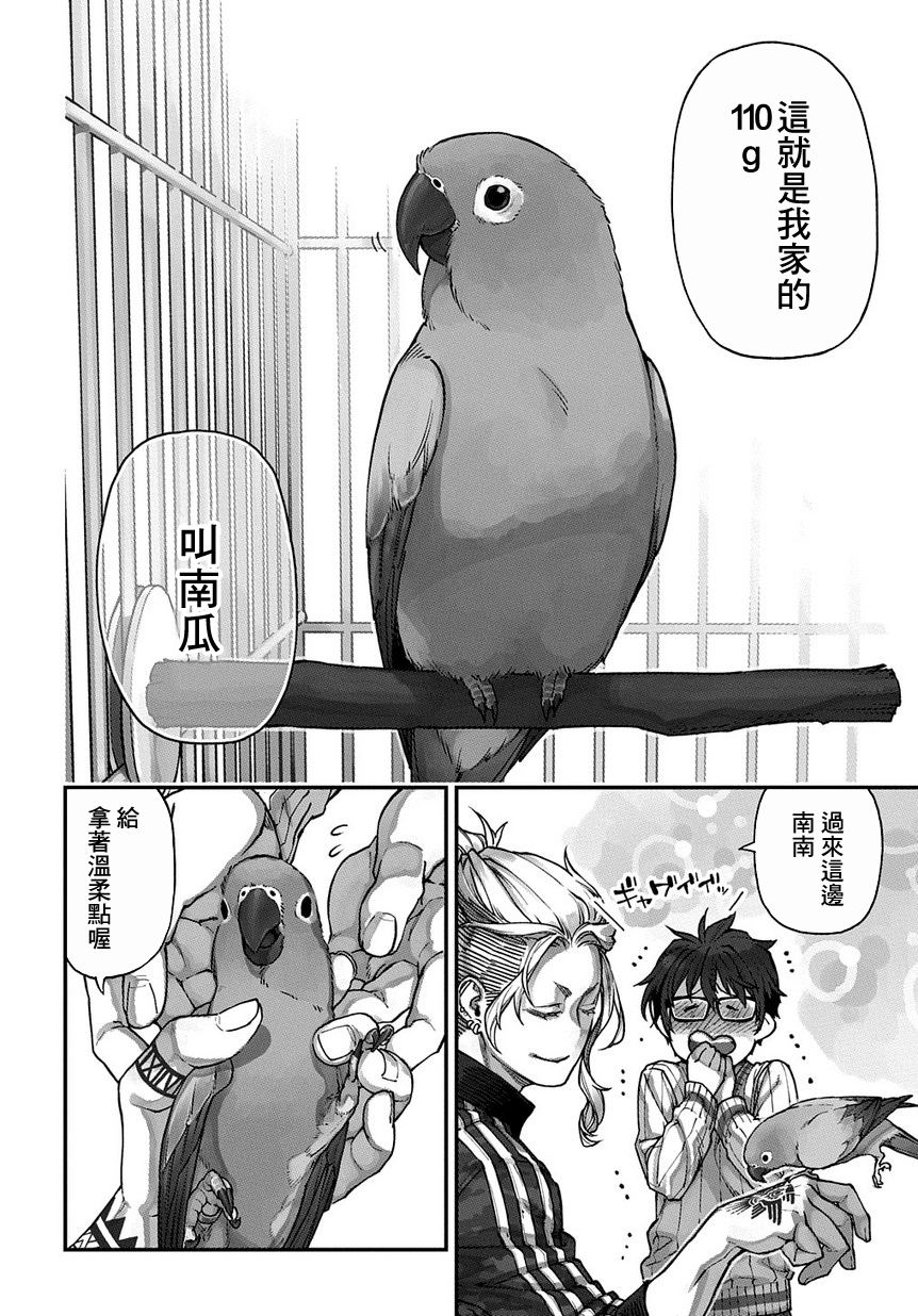 Birds Junkies Ch. 1 第11页