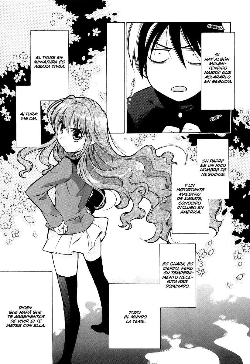 Toradora! ¡Tigre miniatura! 第37页