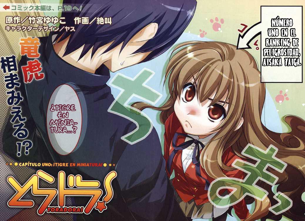 Toradora! ¡Tigre miniatura! 第9页