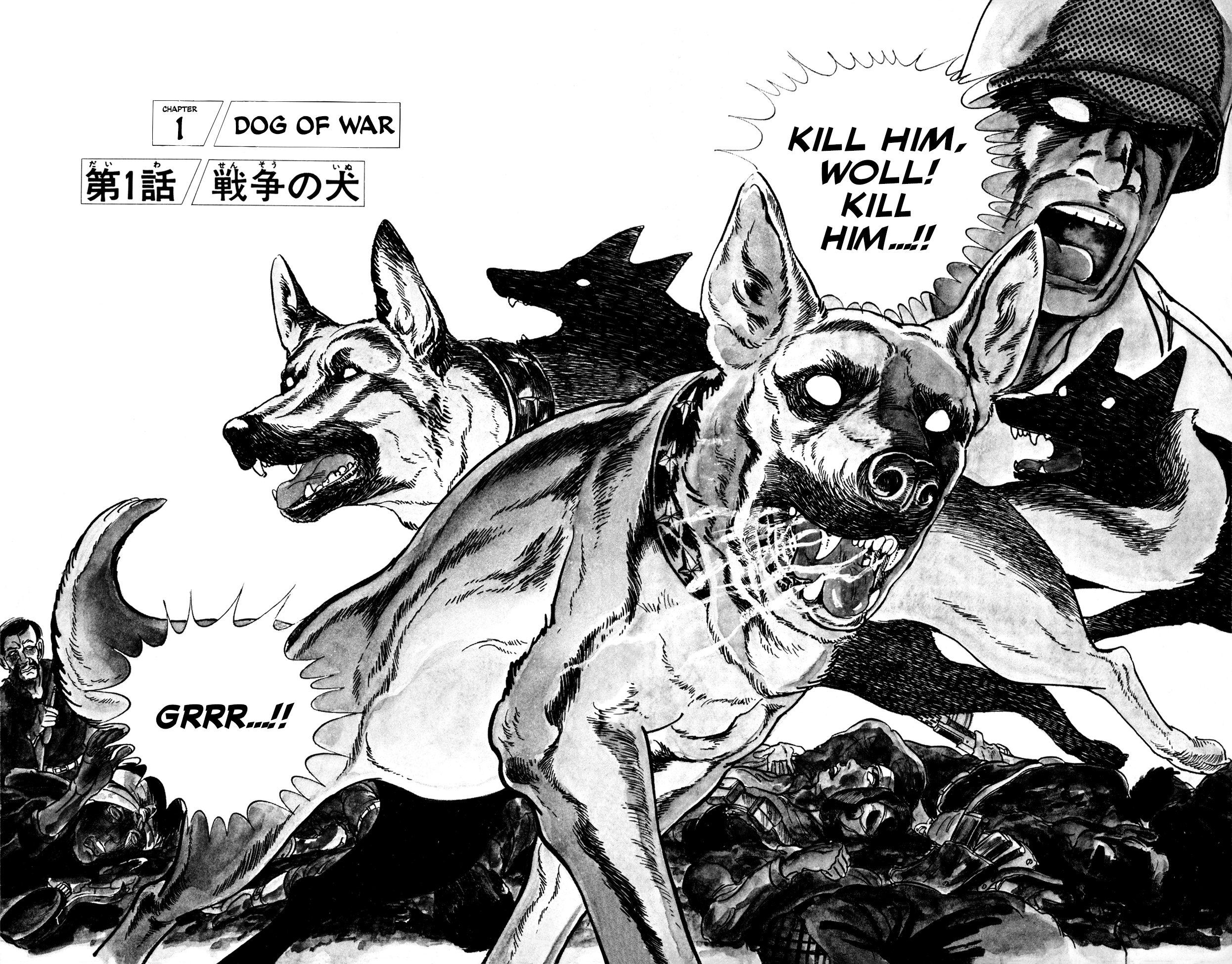 Woll 第5页