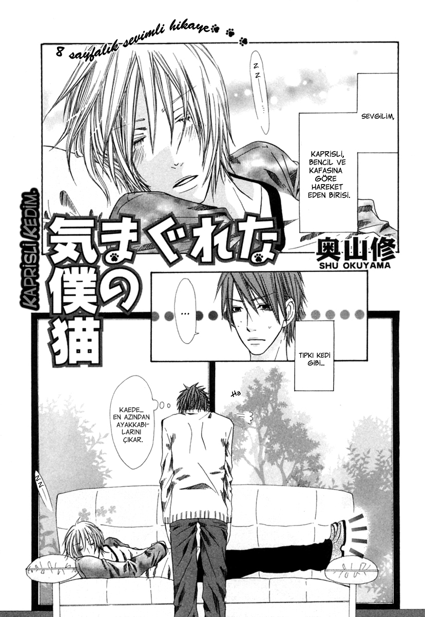 Kimagure na Boku no Neko Oneshot 第3页
