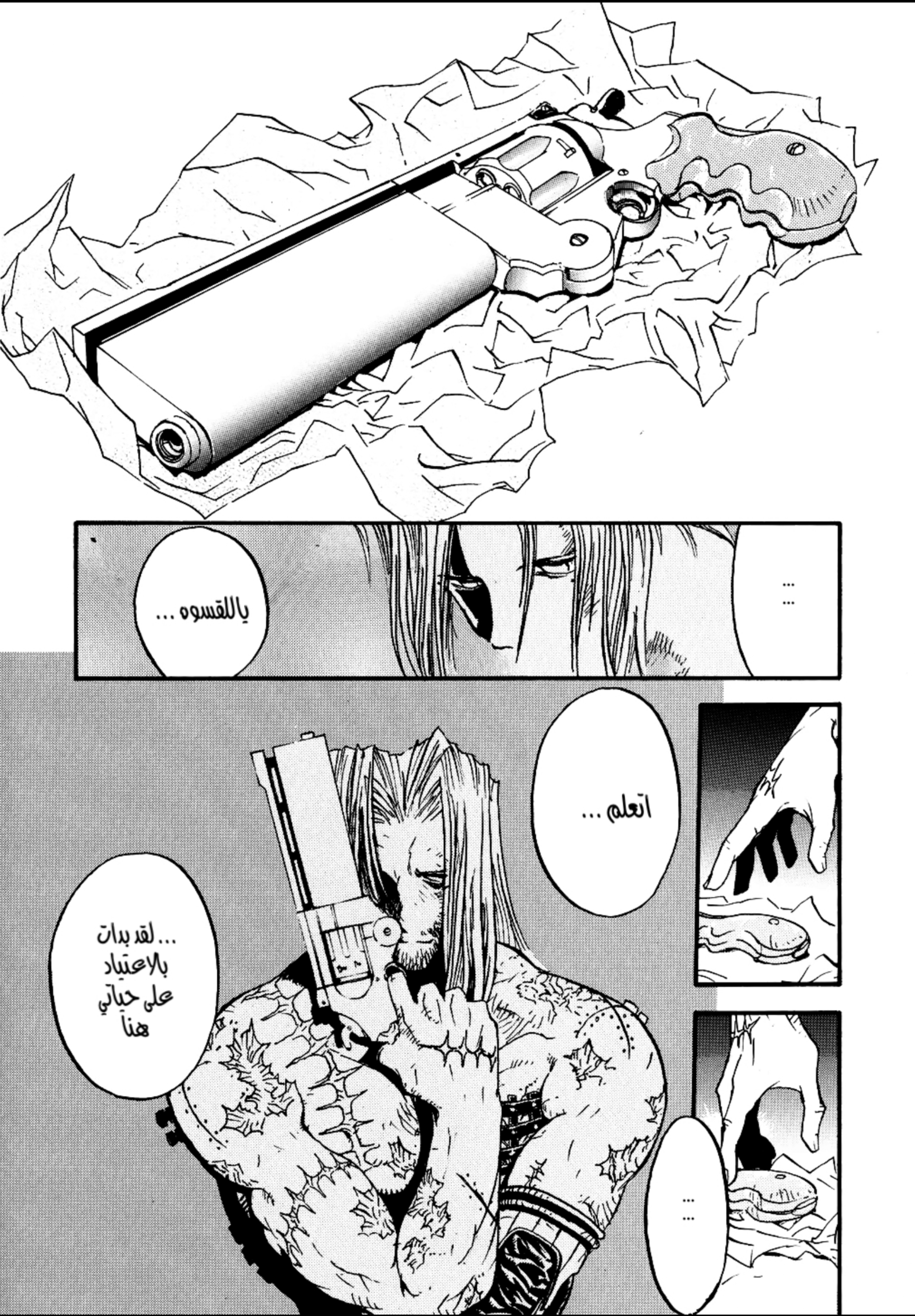 Trigun Maximum ولادة البطل 第25页