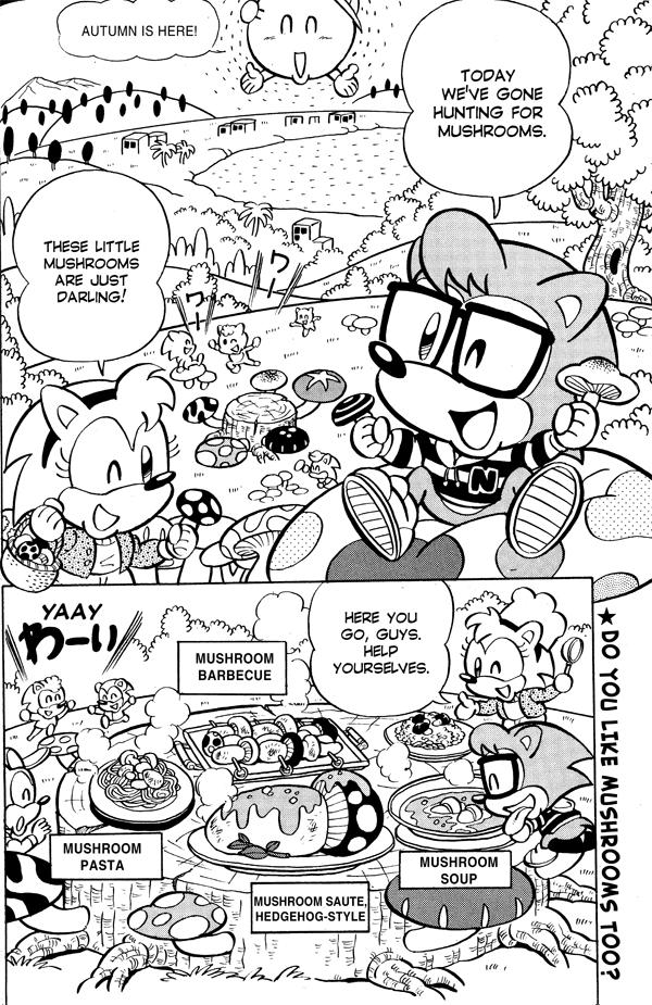 Sonic the Hedgehog A New Buddy, Tails, Enters the Stage!! 第2页
