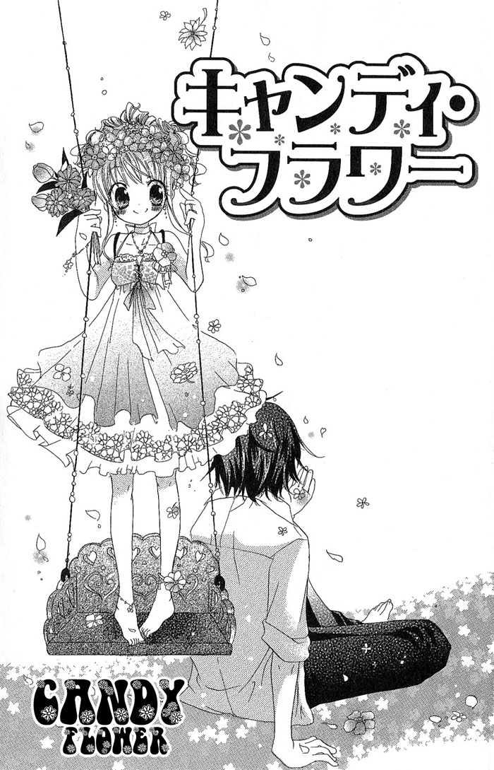 Candy Flower 第4页