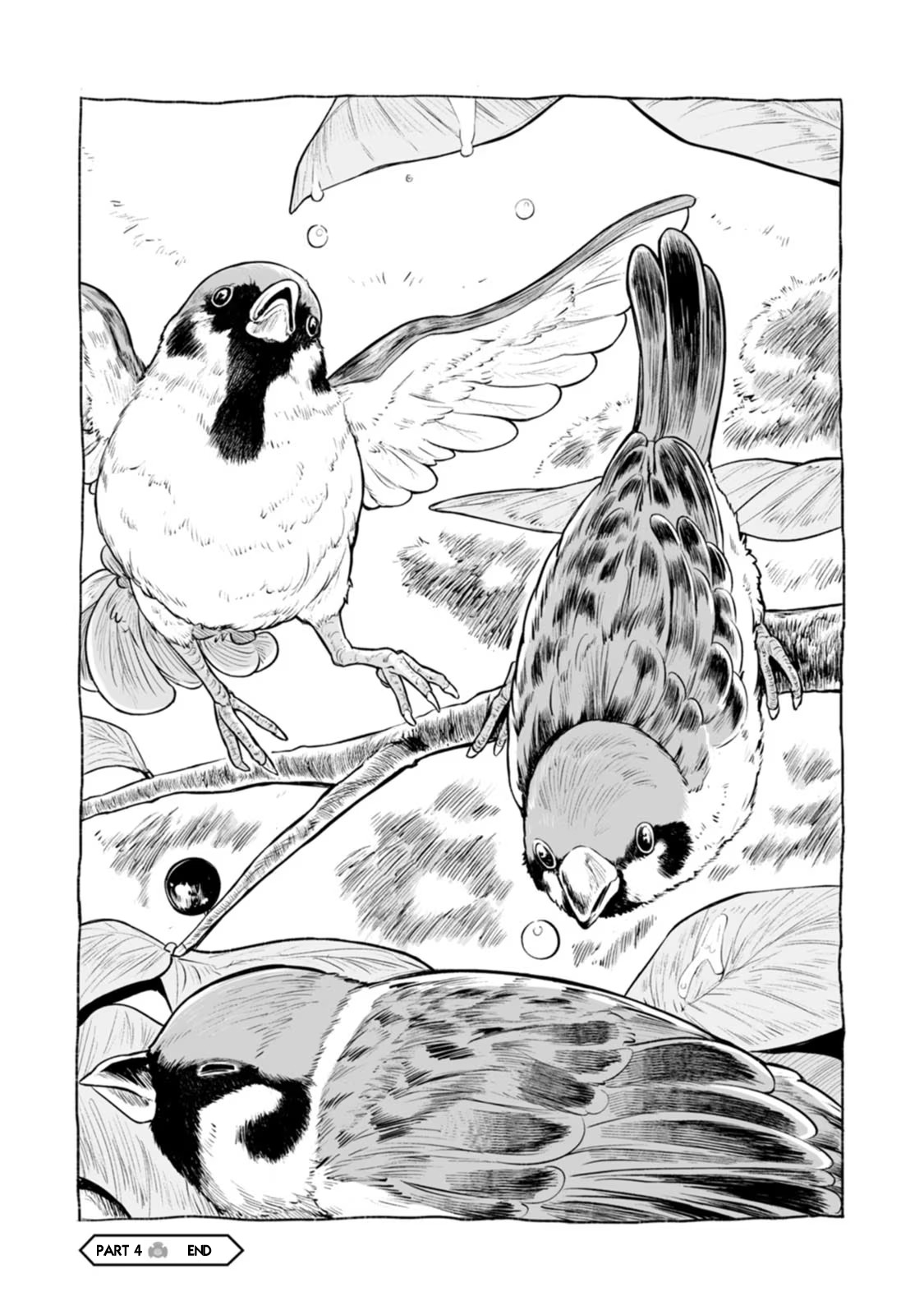 Chun Returns the Favor Stroll With a Sparrow 第8页