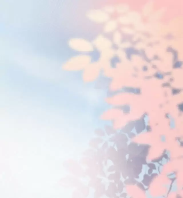 Mưa Phùn Và Im Lặng Ch. 1 第24页