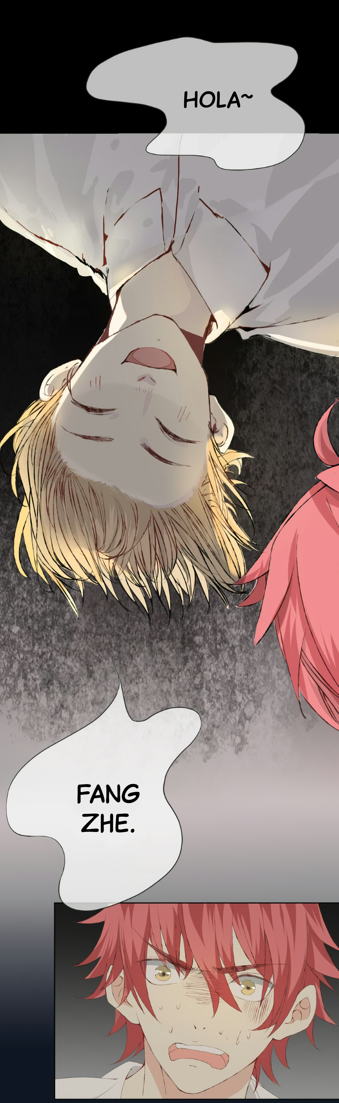 I Don't Have Schizophrenia Ch. 2 第6页