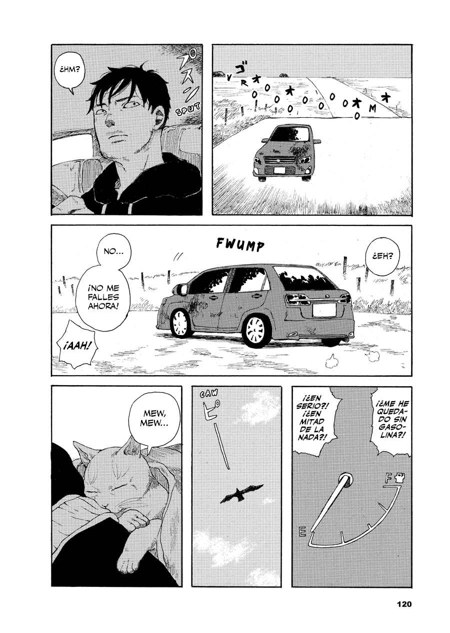 Walking Cat ¿De dónde has salido? 第3页