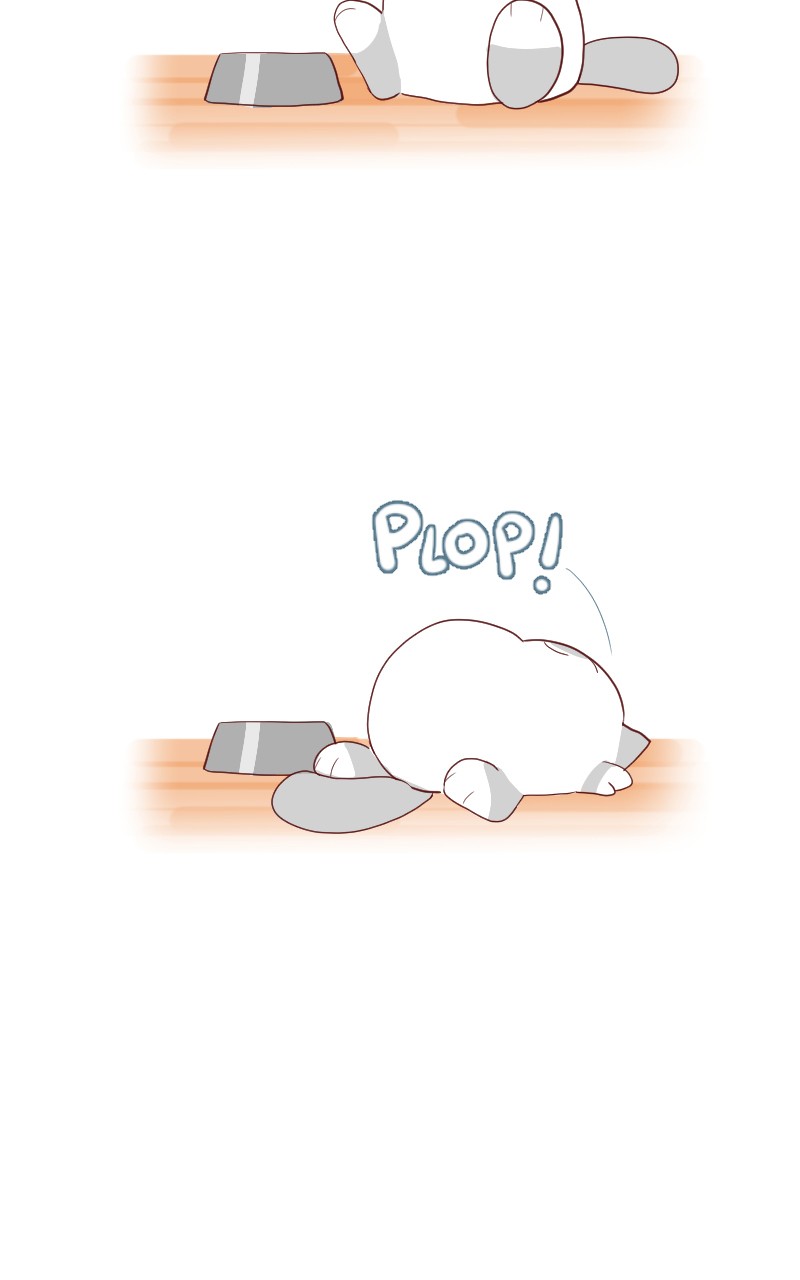 Saphie: The One-Eyed Cat Ch. 4 第3页