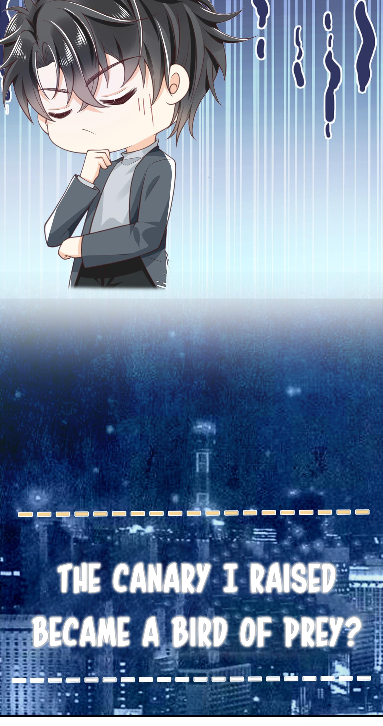 Outside the Law Introduction 第6页