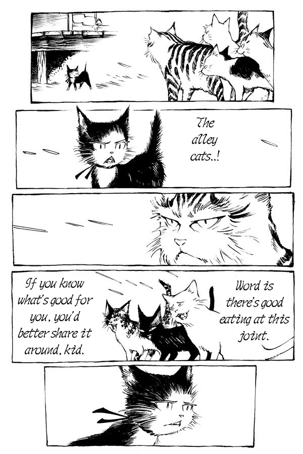 The Cat And Matsu 第6页