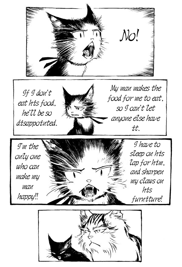 The Cat And Matsu 第7页