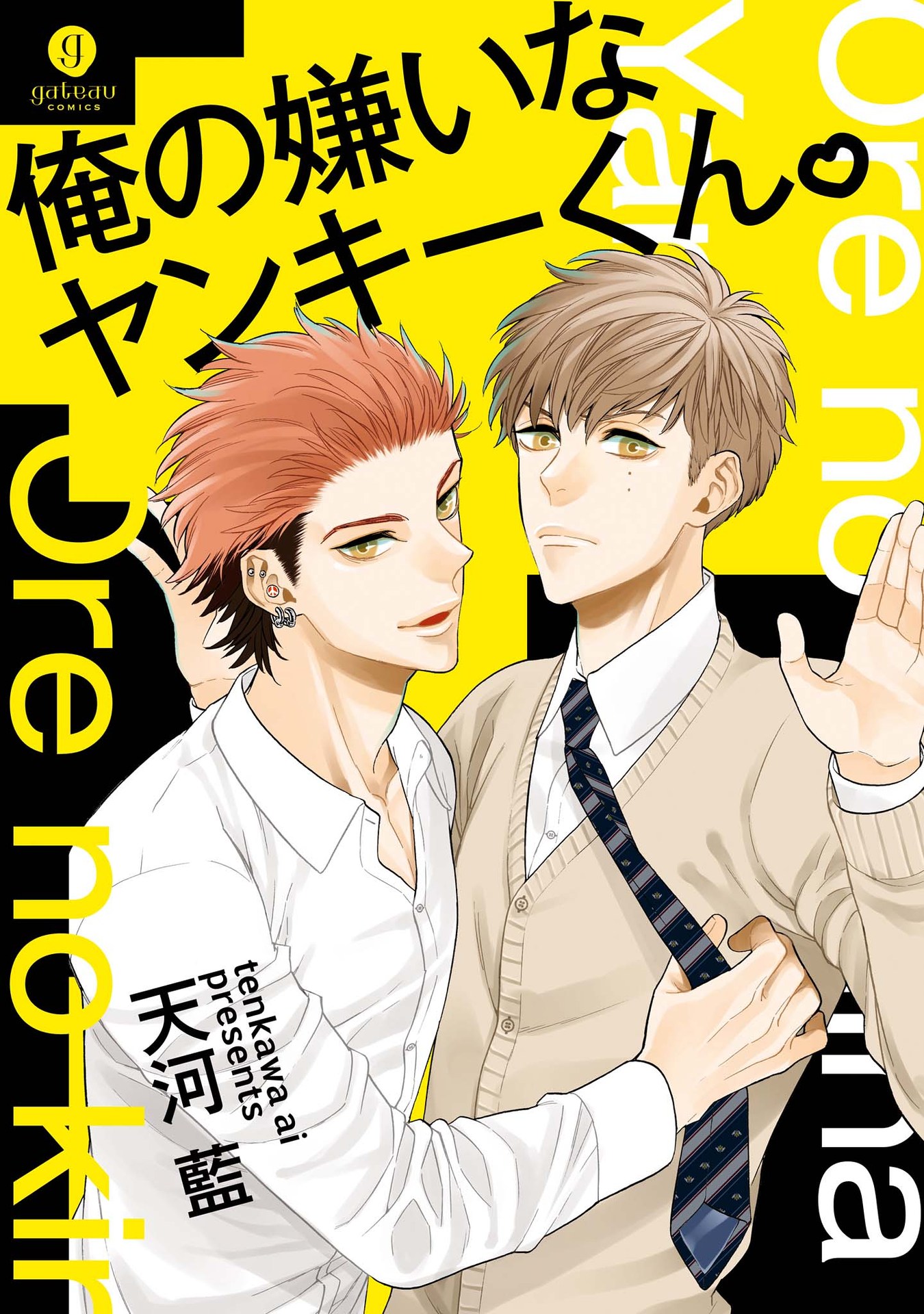 Ore no Kirai na Yankee-kun 第3页