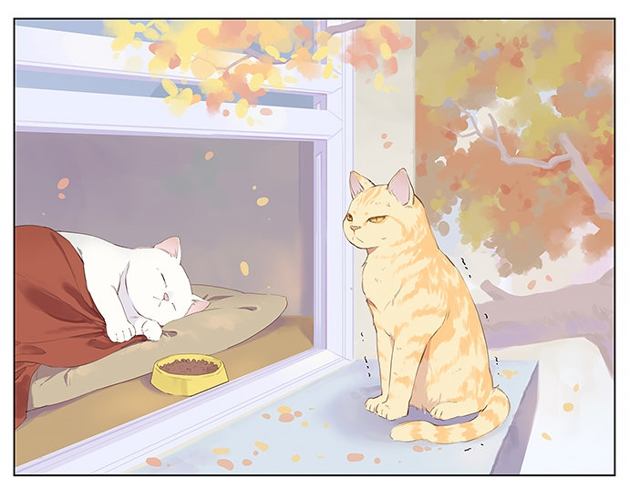 Aman's Animal Tales The Disappointing House Cat (1) 第1页