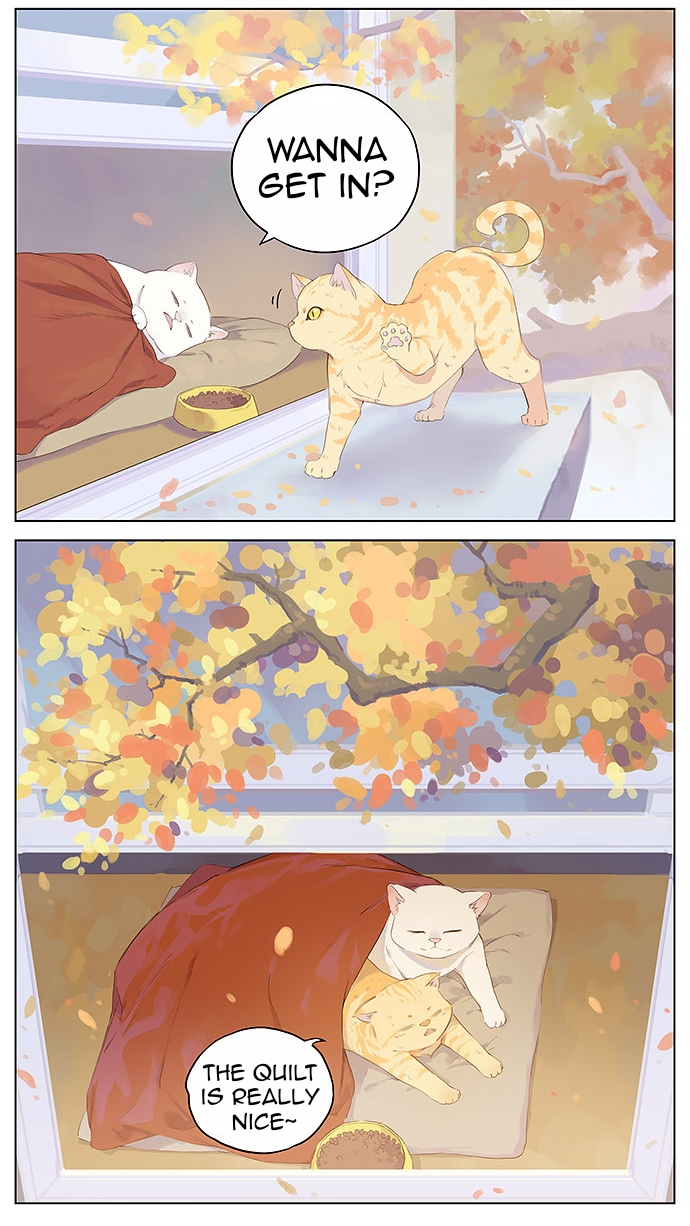 Aman's Animal Tales The Disappointing House Cat (1) 第5页