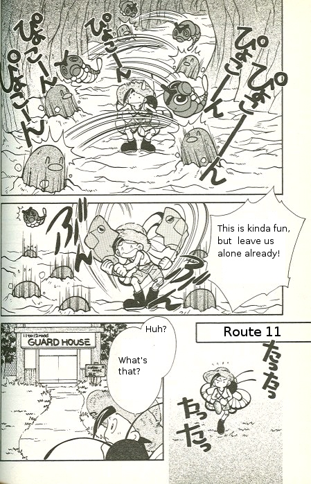 How I Became a Pokémon Card The Pokémon Trainer and his Butterfree 第12页