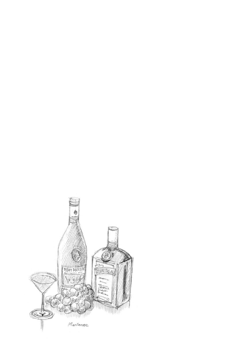 Bartender à Paris Marianne 第30页