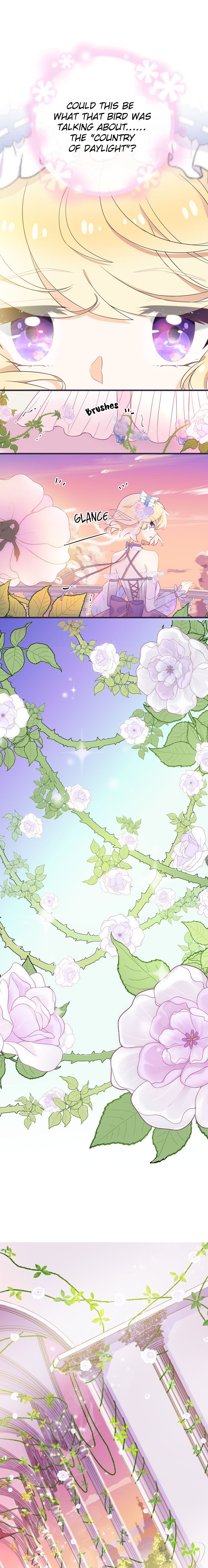 White Wheel of Fortune The Identity of the White Witch 第12页