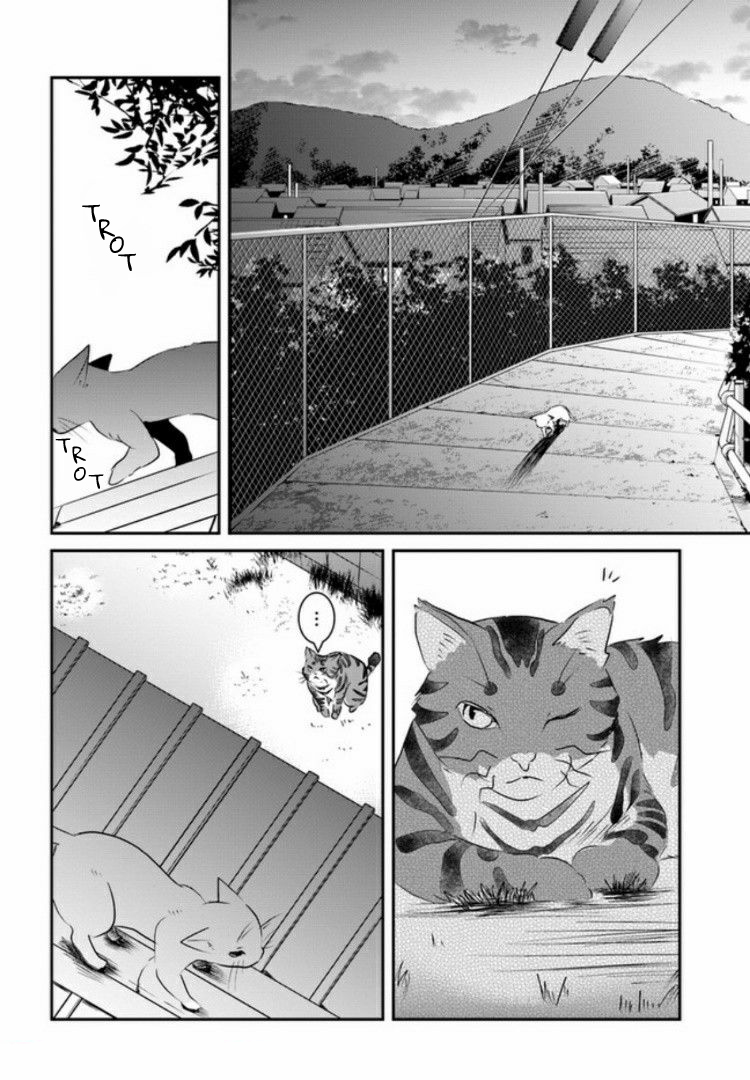 Nakitai Watashi wa Neko o Kaburu Same Smell 第27页