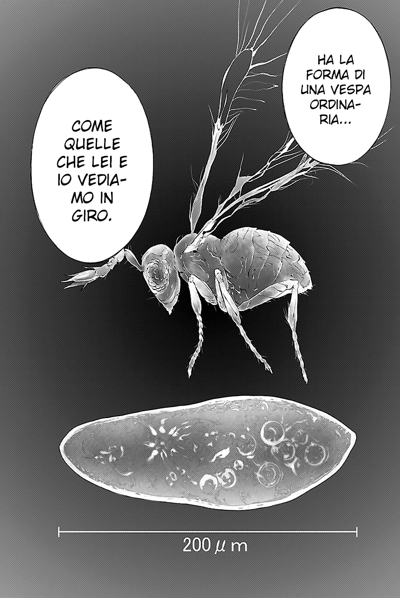Himenospia Arpione 第6页