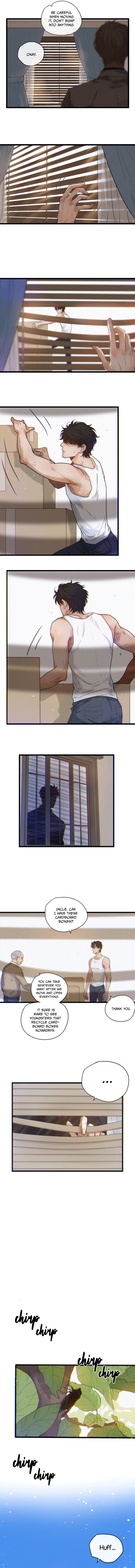 Starry Night Starry Night 第5页