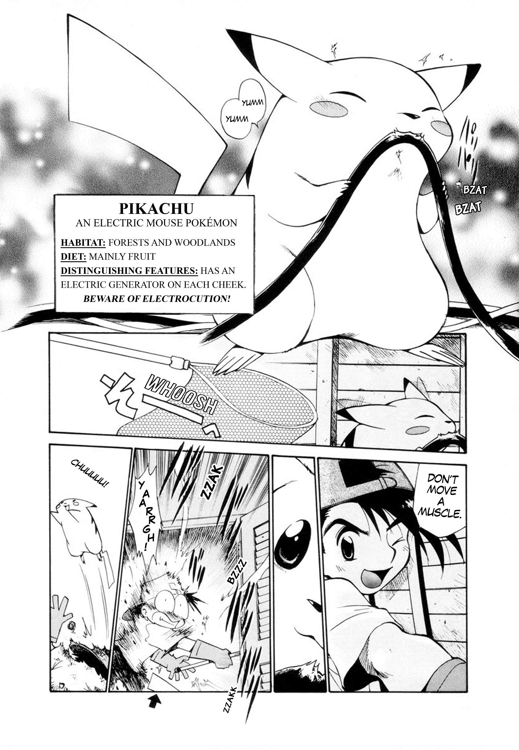 Electric Tale! Pikachu Pikachu, I See You 第4页