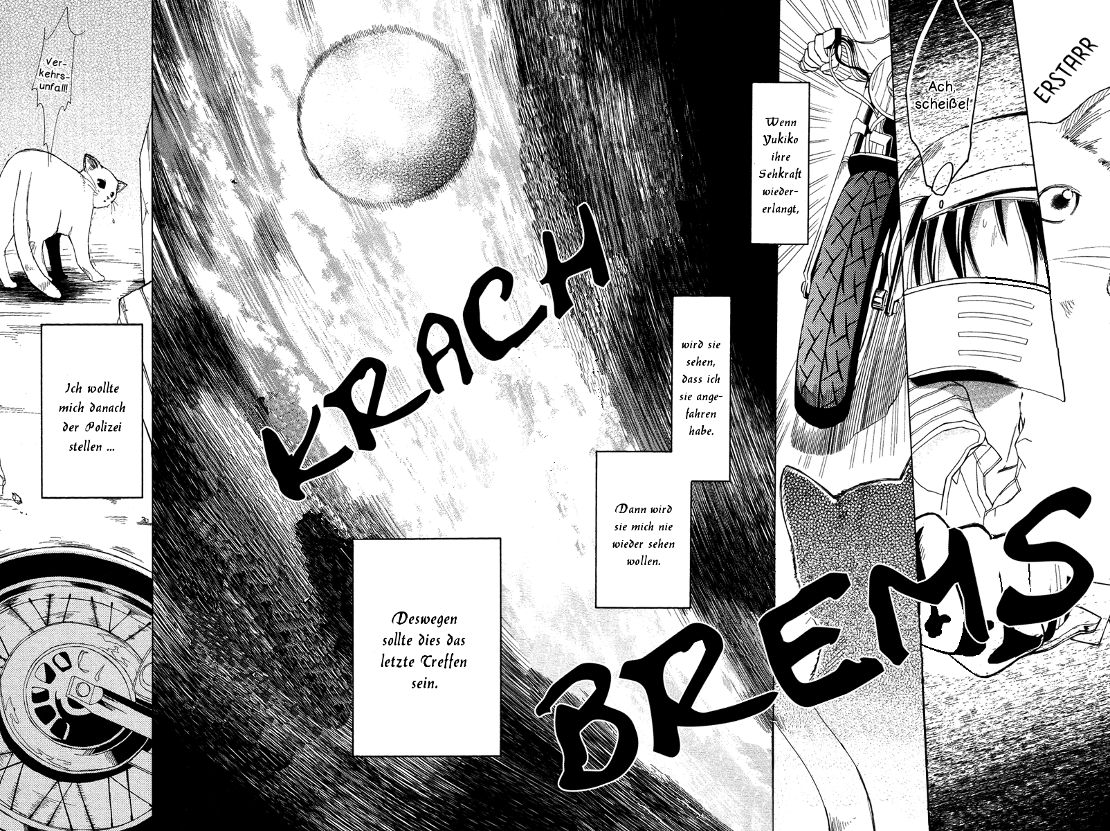 Gekkou Chou Auge um Auge 第27页