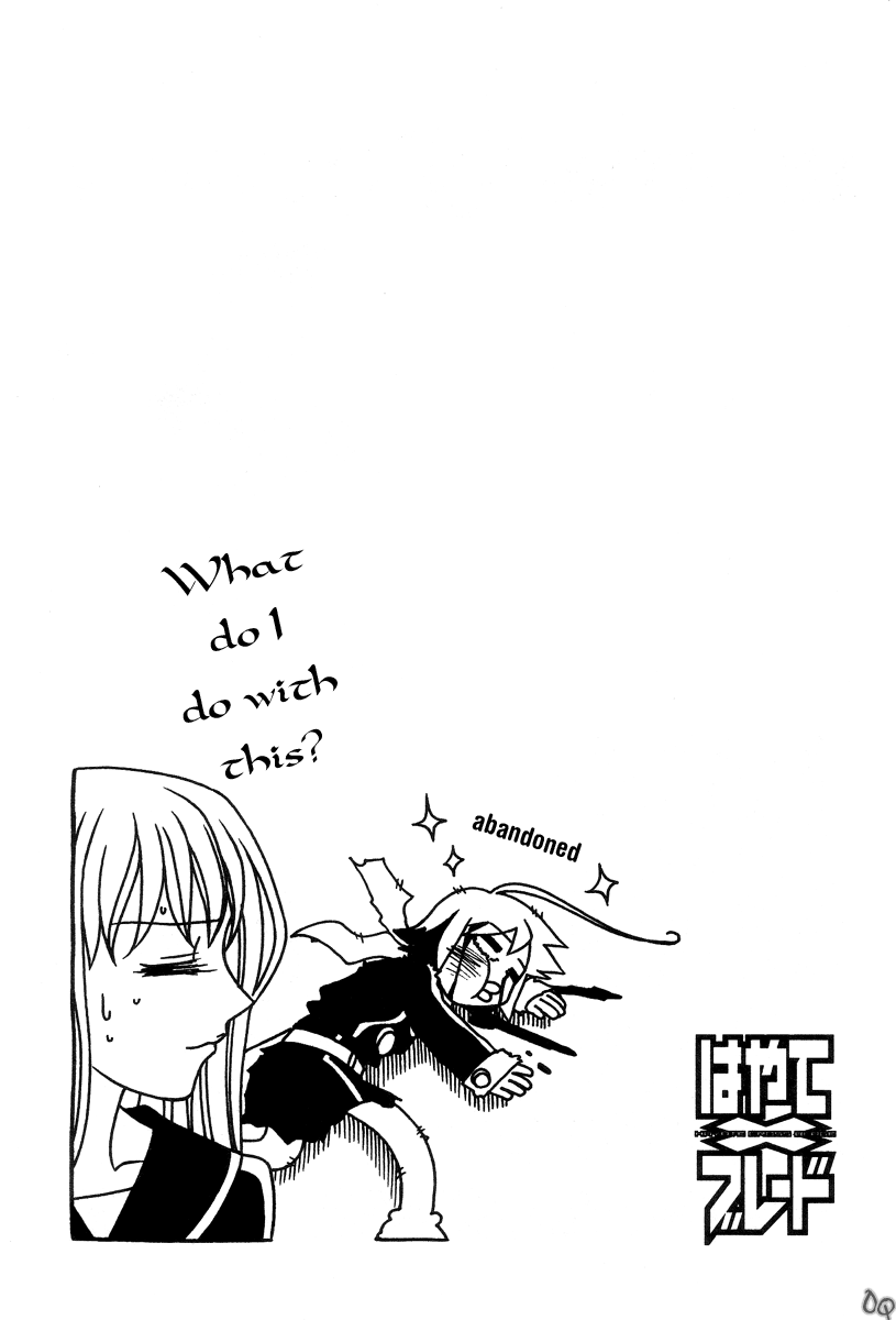 Hayate x Blade The Lost Idiot 第29页