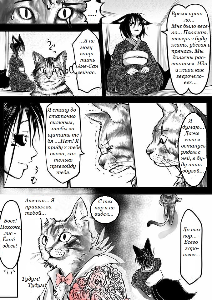 Kitsune Spirit История спасённого кота 第3页