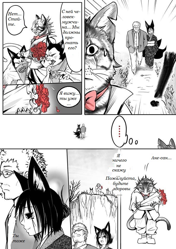 Kitsune Spirit История спасённого кота 第4页