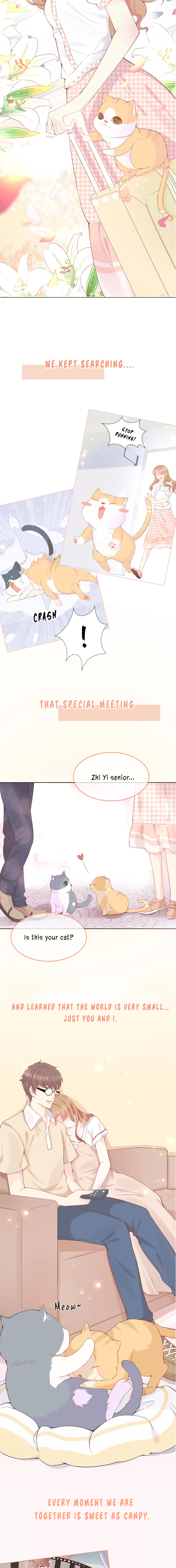 Being With You Means the World to Me 第4页