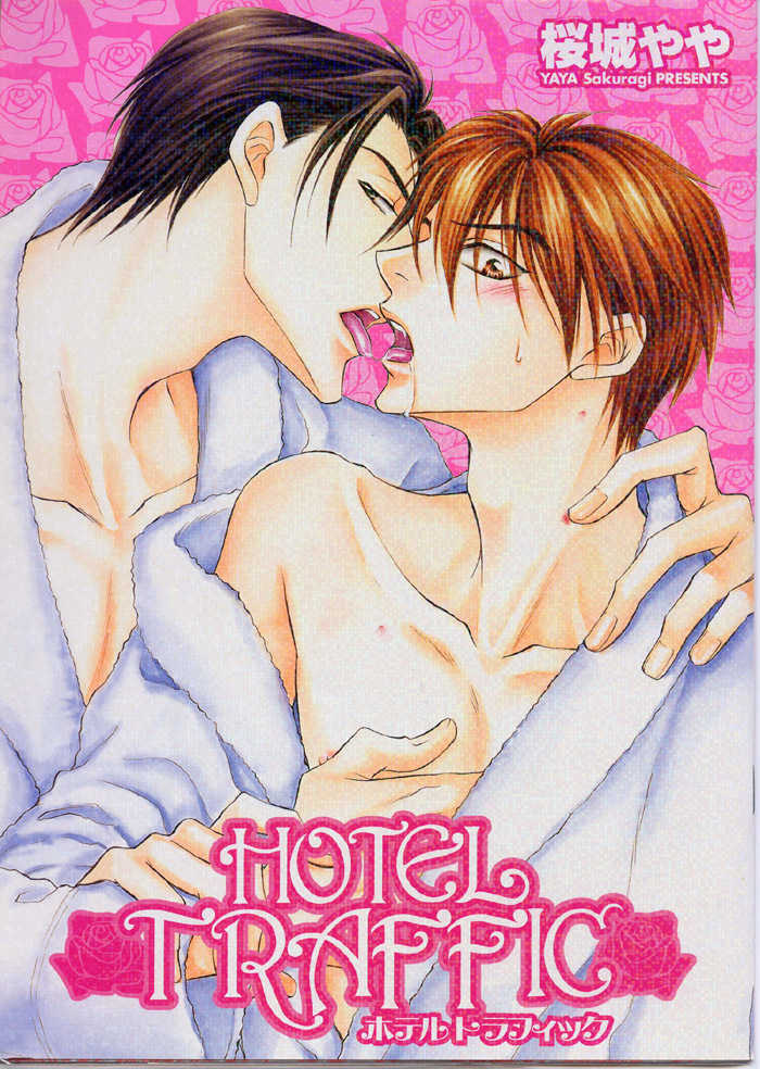 Hotel Traffic 第2页