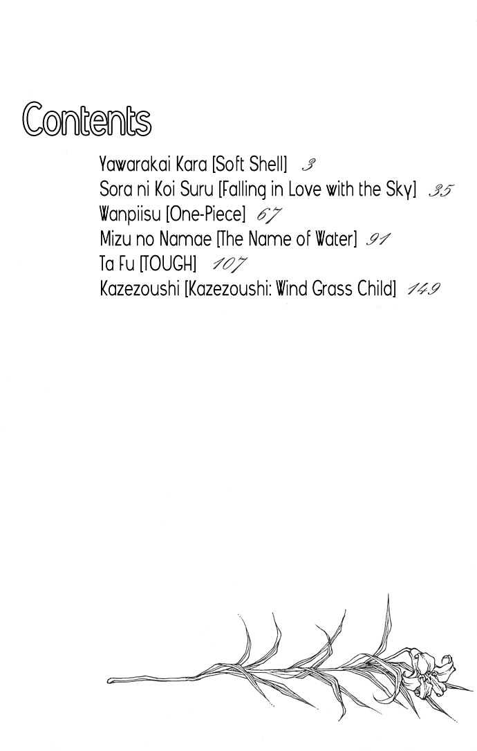 Soft Shell 第6页