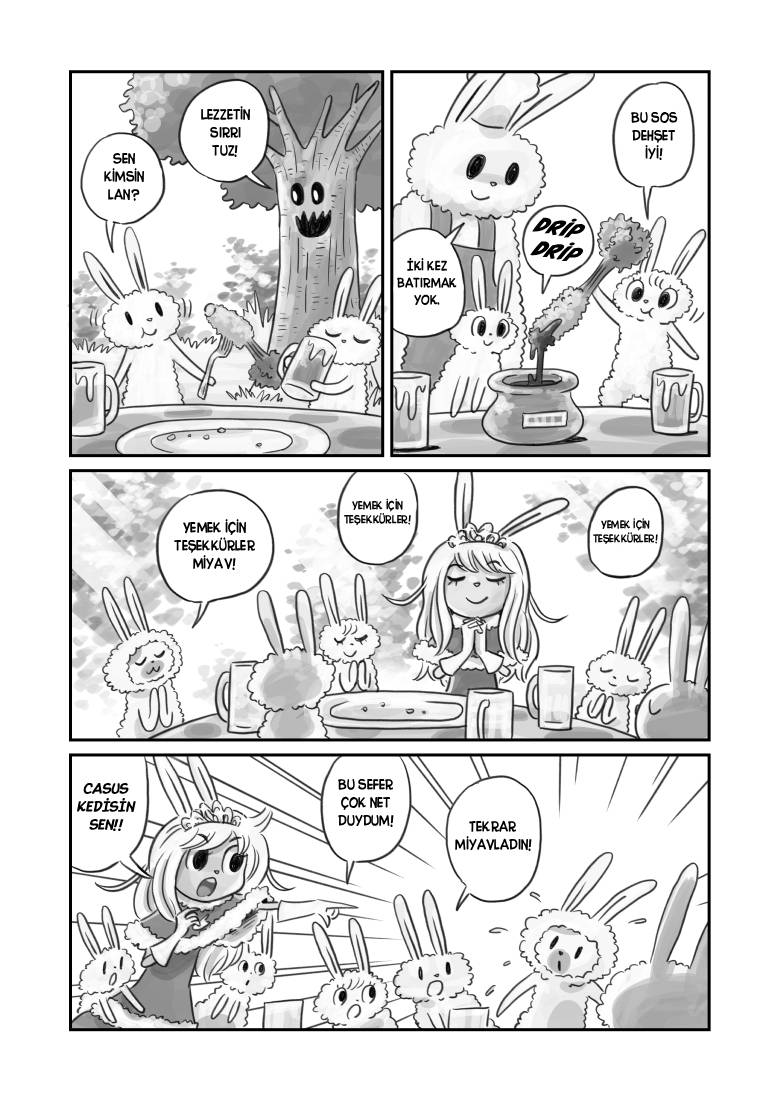 Usagi no Princess Bölüm 2 第3页