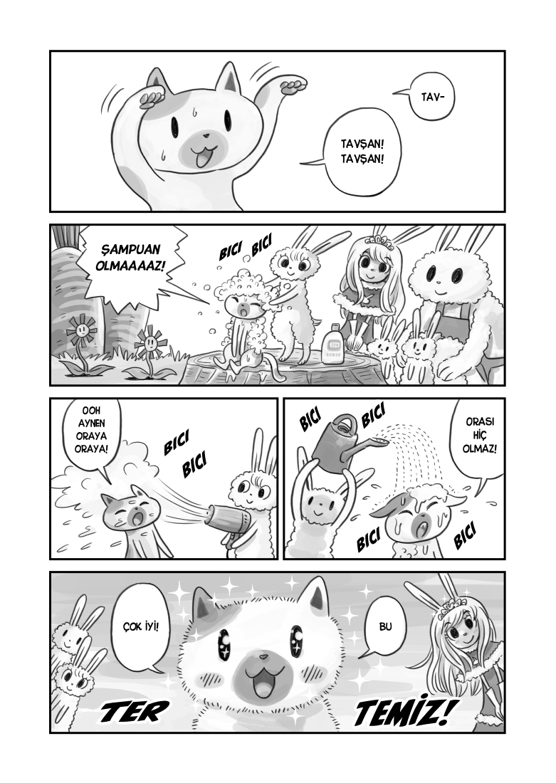 Usagi no Princess Bölüm 2 第5页