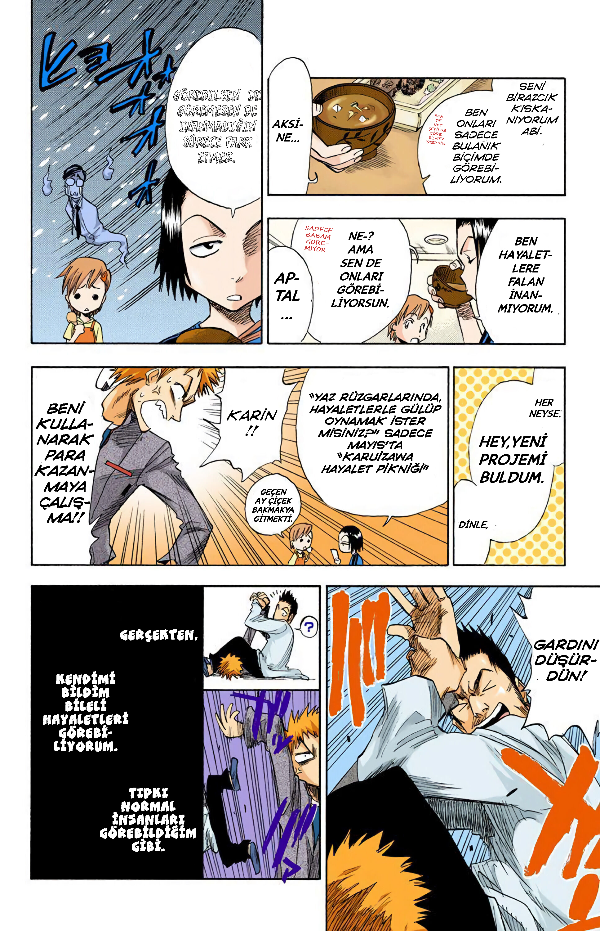 Bleach (Official Colored) Ölüm ve Çilek 第11页
