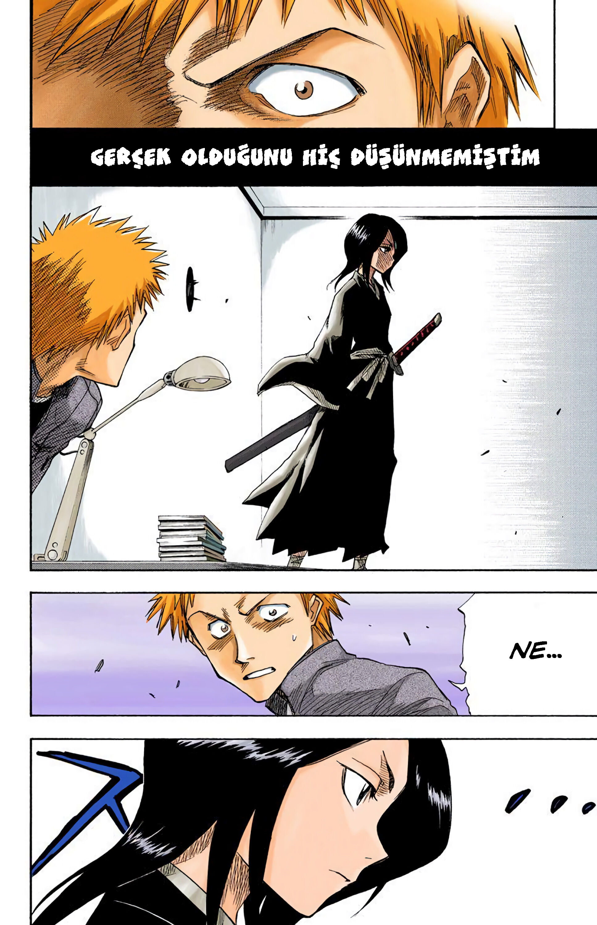 Bleach (Official Colored) Ölüm ve Çilek 第13页