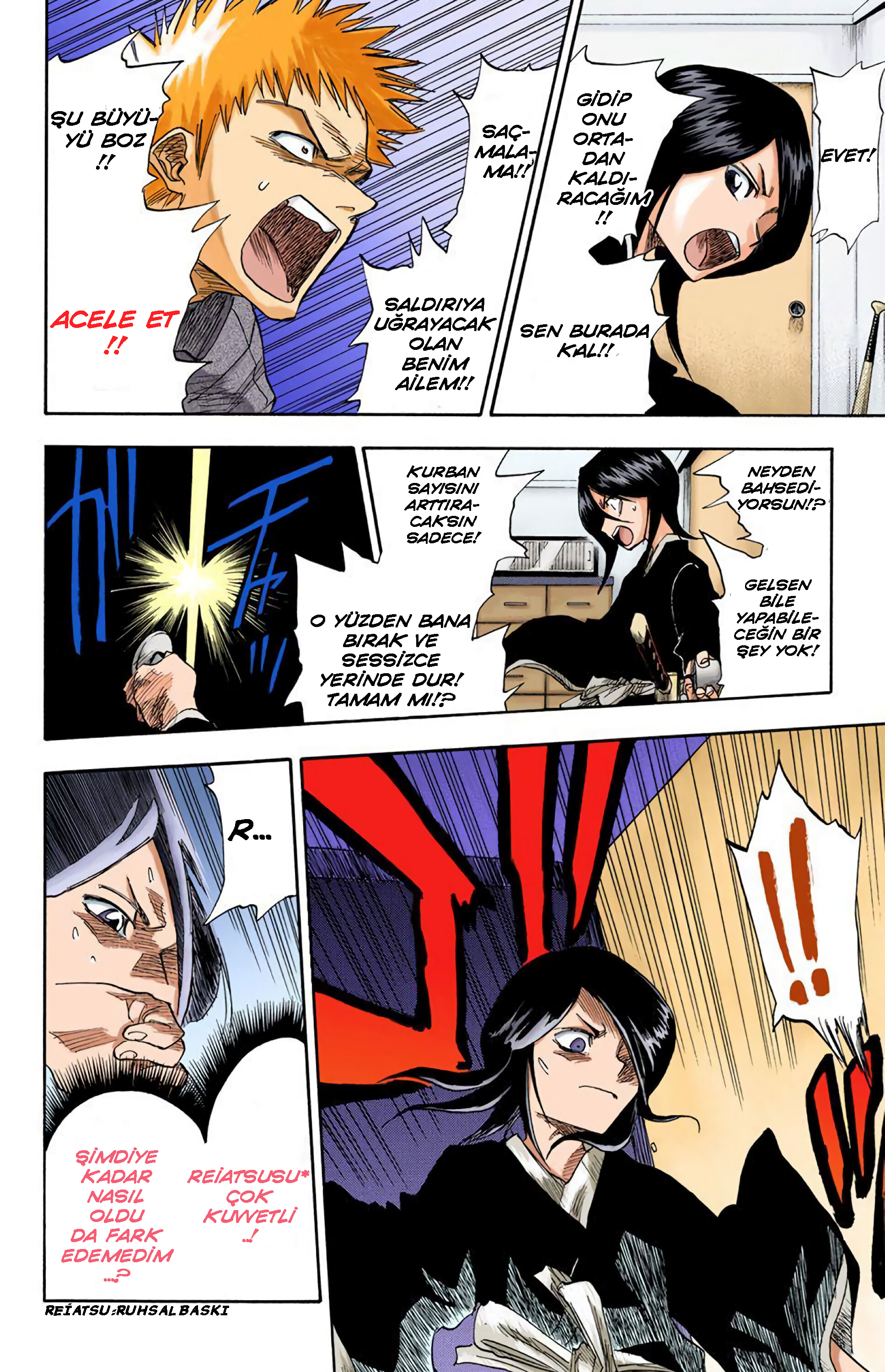 Bleach (Official Colored) Ölüm ve Çilek 第25页