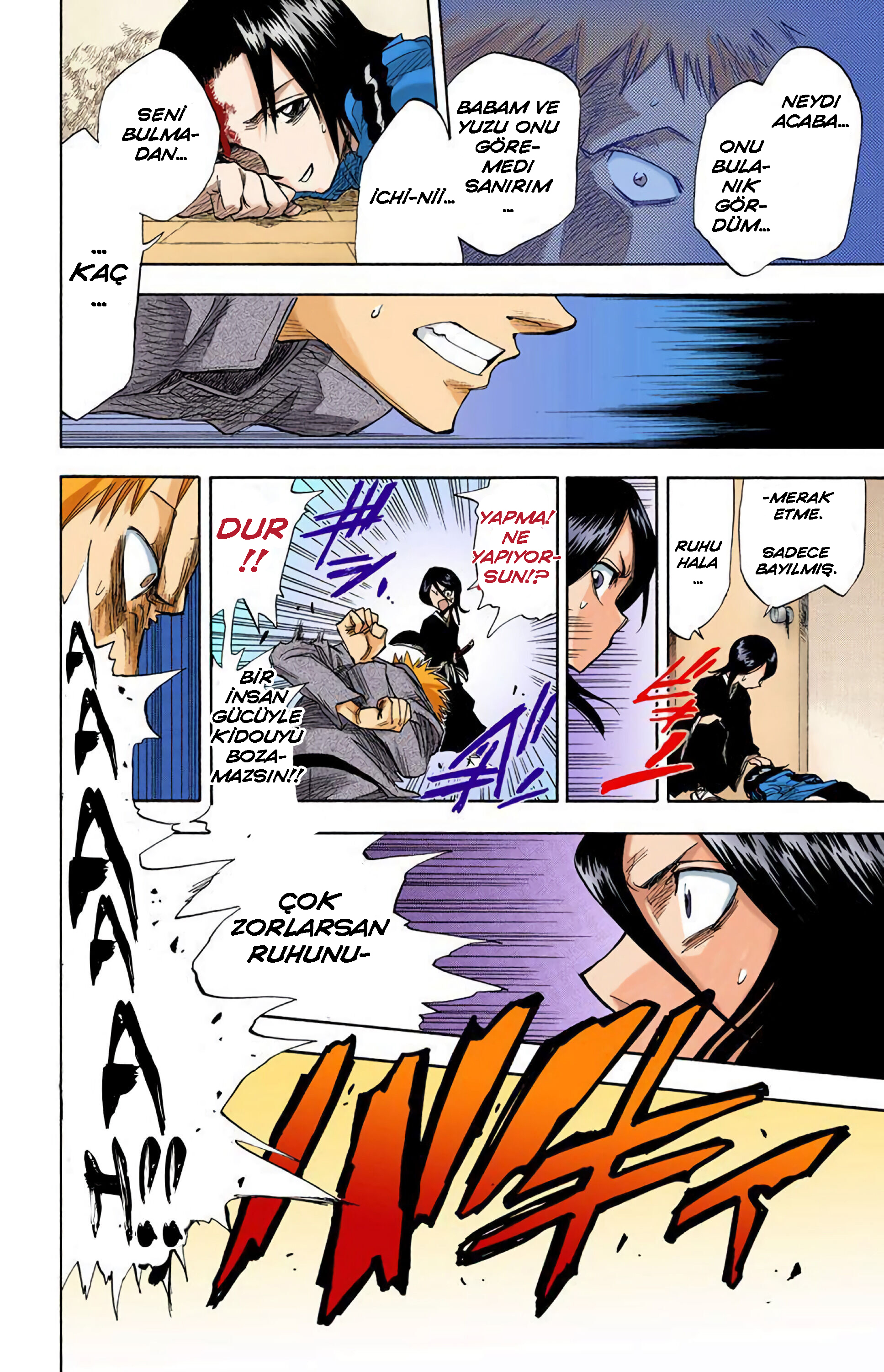 Bleach (Official Colored) Ölüm ve Çilek 第27页