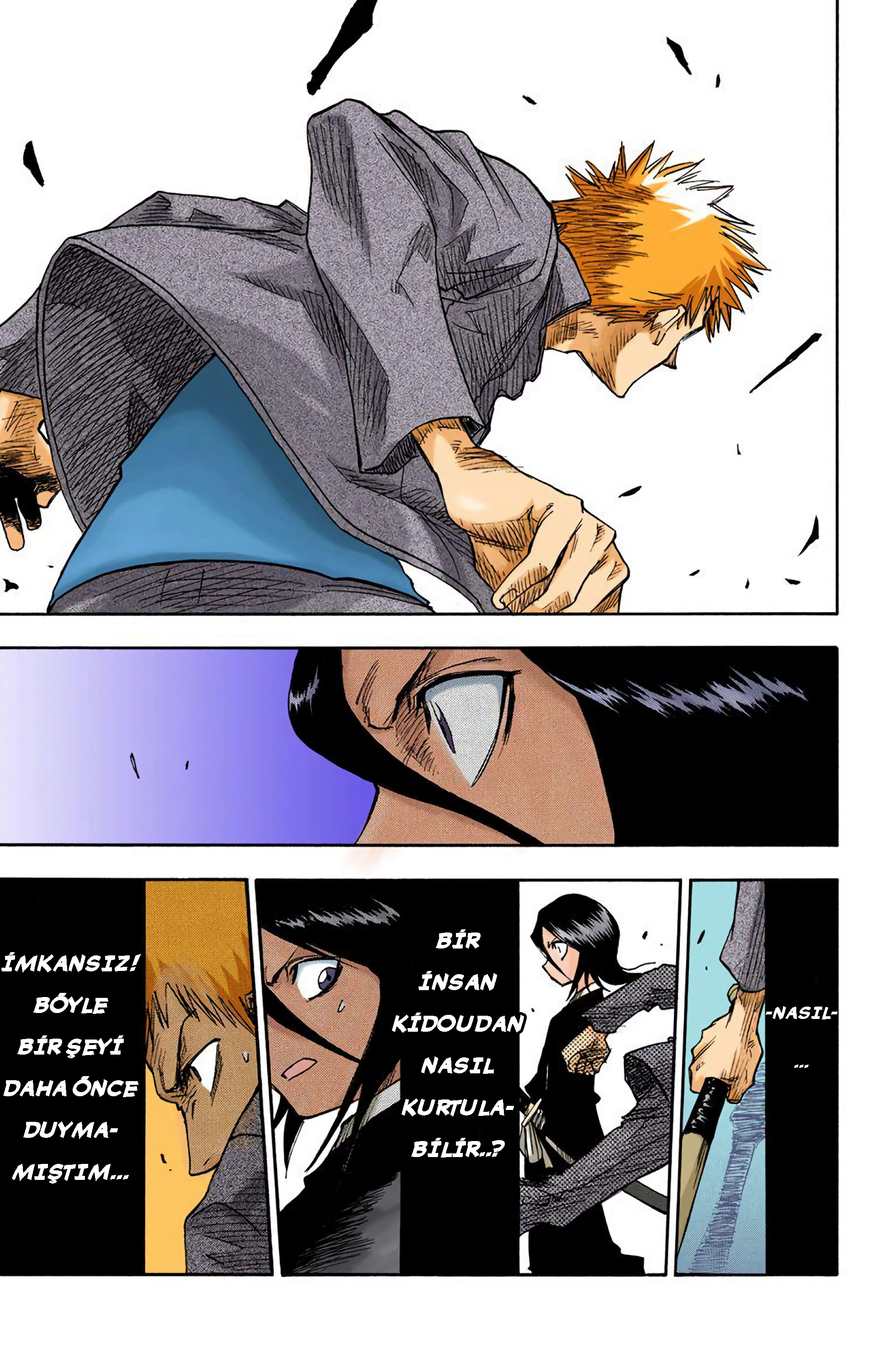 Bleach (Official Colored) Ölüm ve Çilek 第28页