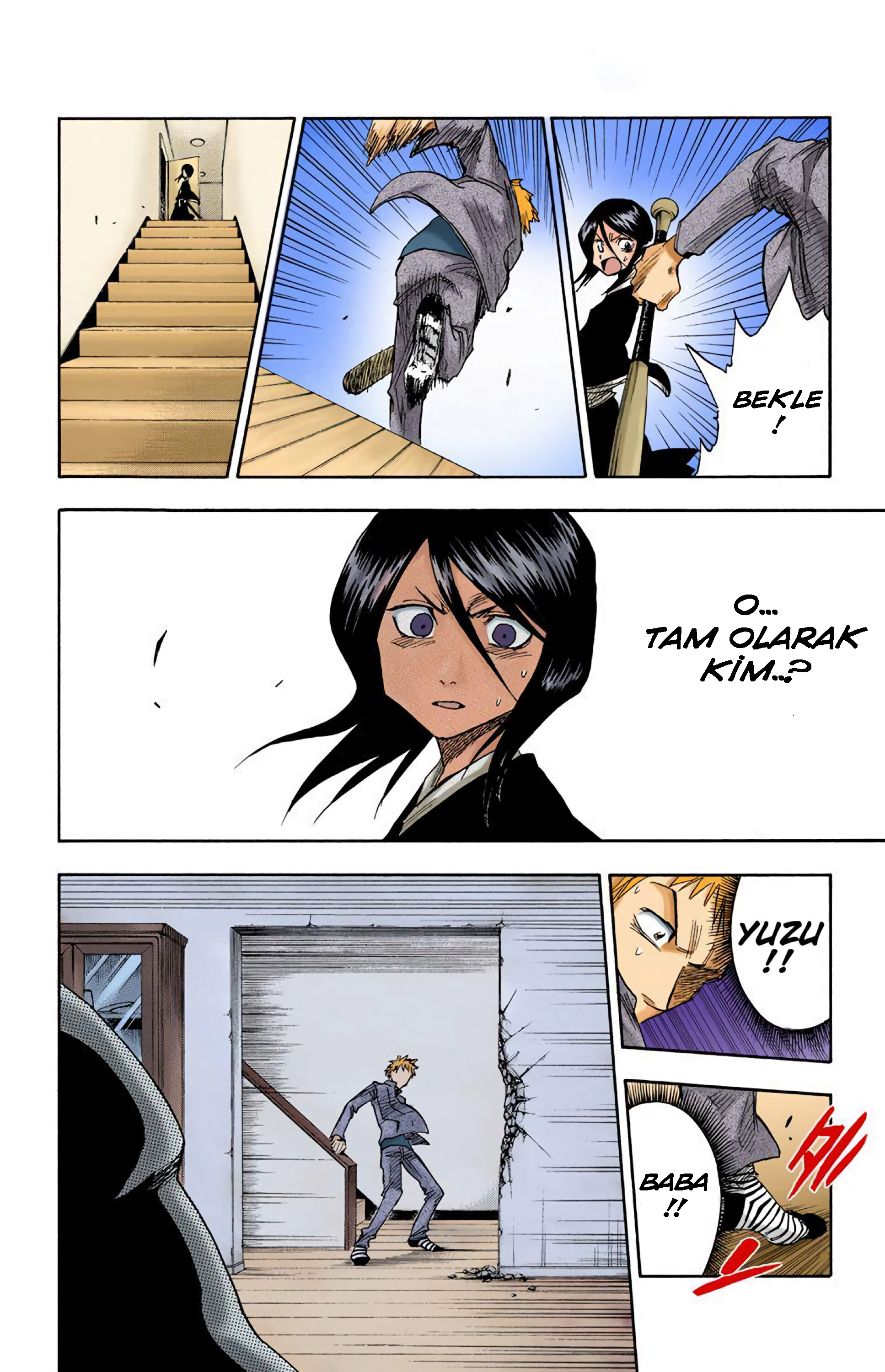 Bleach (Official Colored) Ölüm ve Çilek 第29页