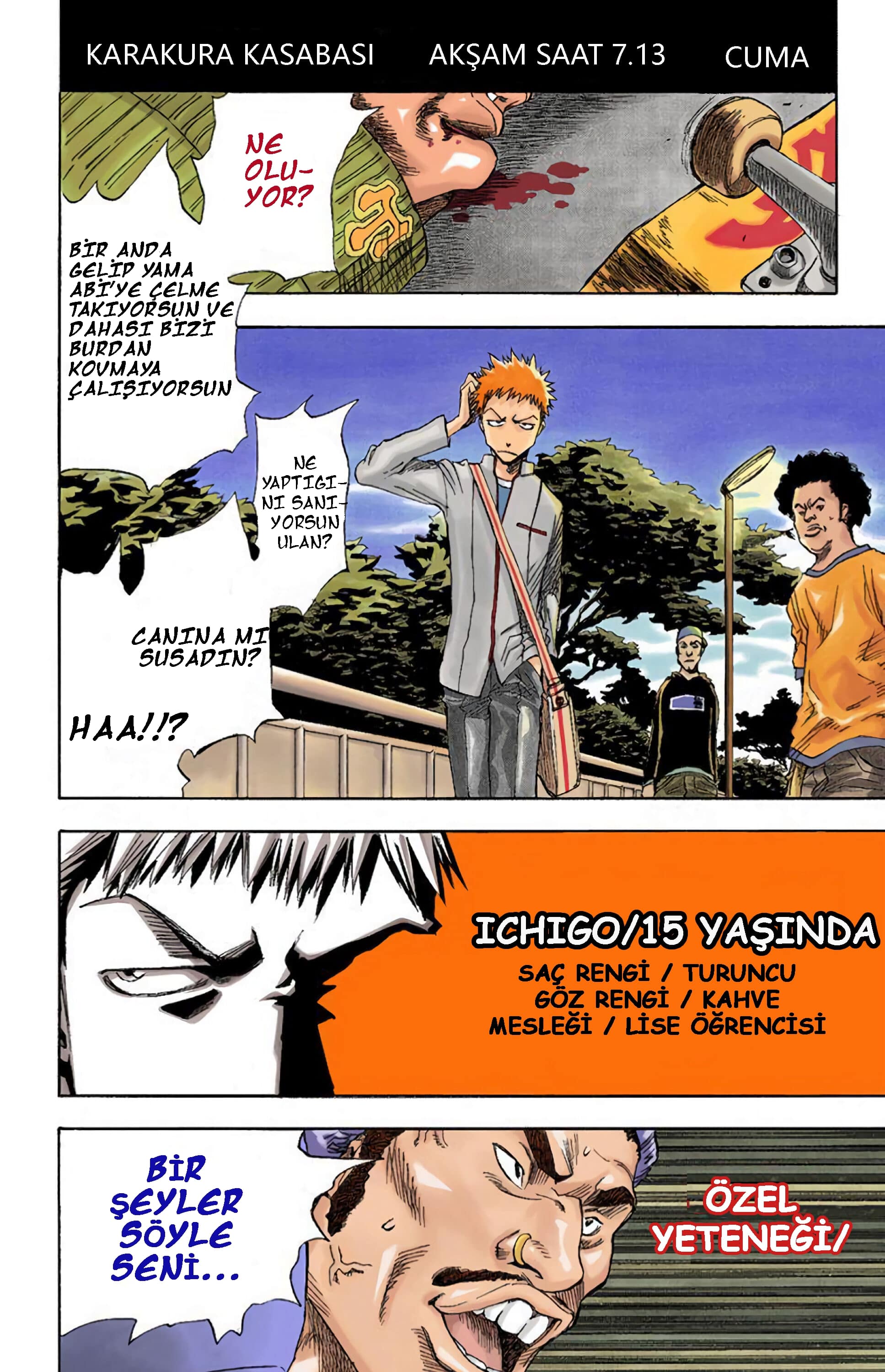 Bleach (Official Colored) Ölüm ve Çilek 第5页