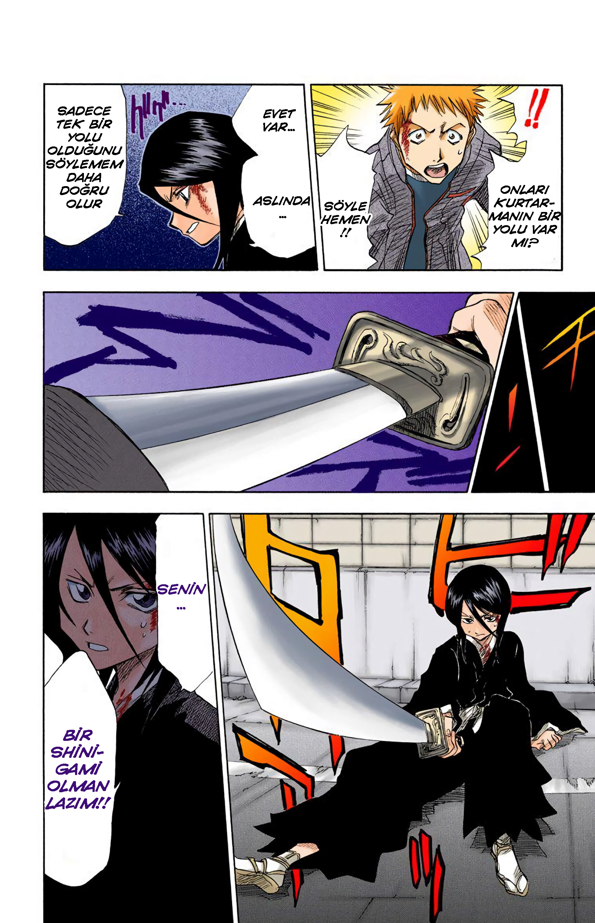 Bleach (Official Colored) Ölüm ve Çilek 第43页