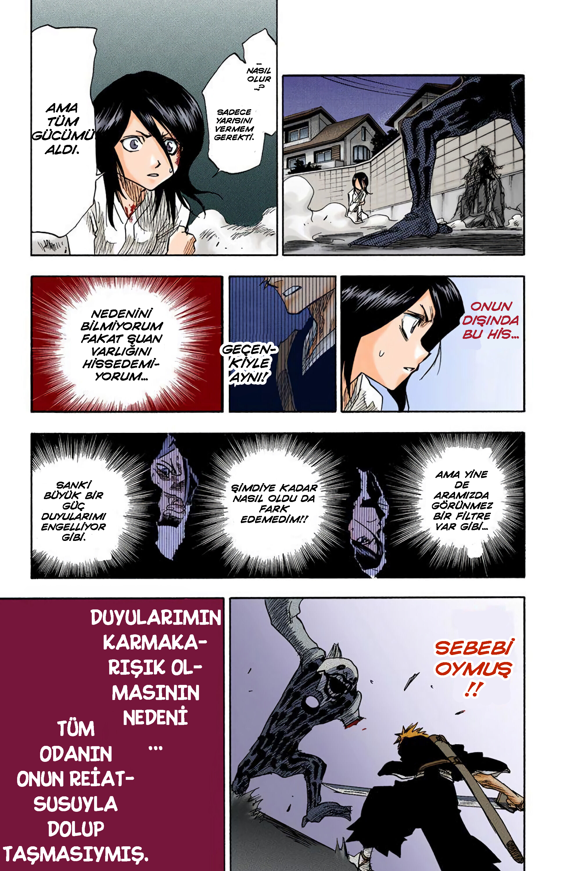 Bleach (Official Colored) Ölüm ve Çilek 第52页