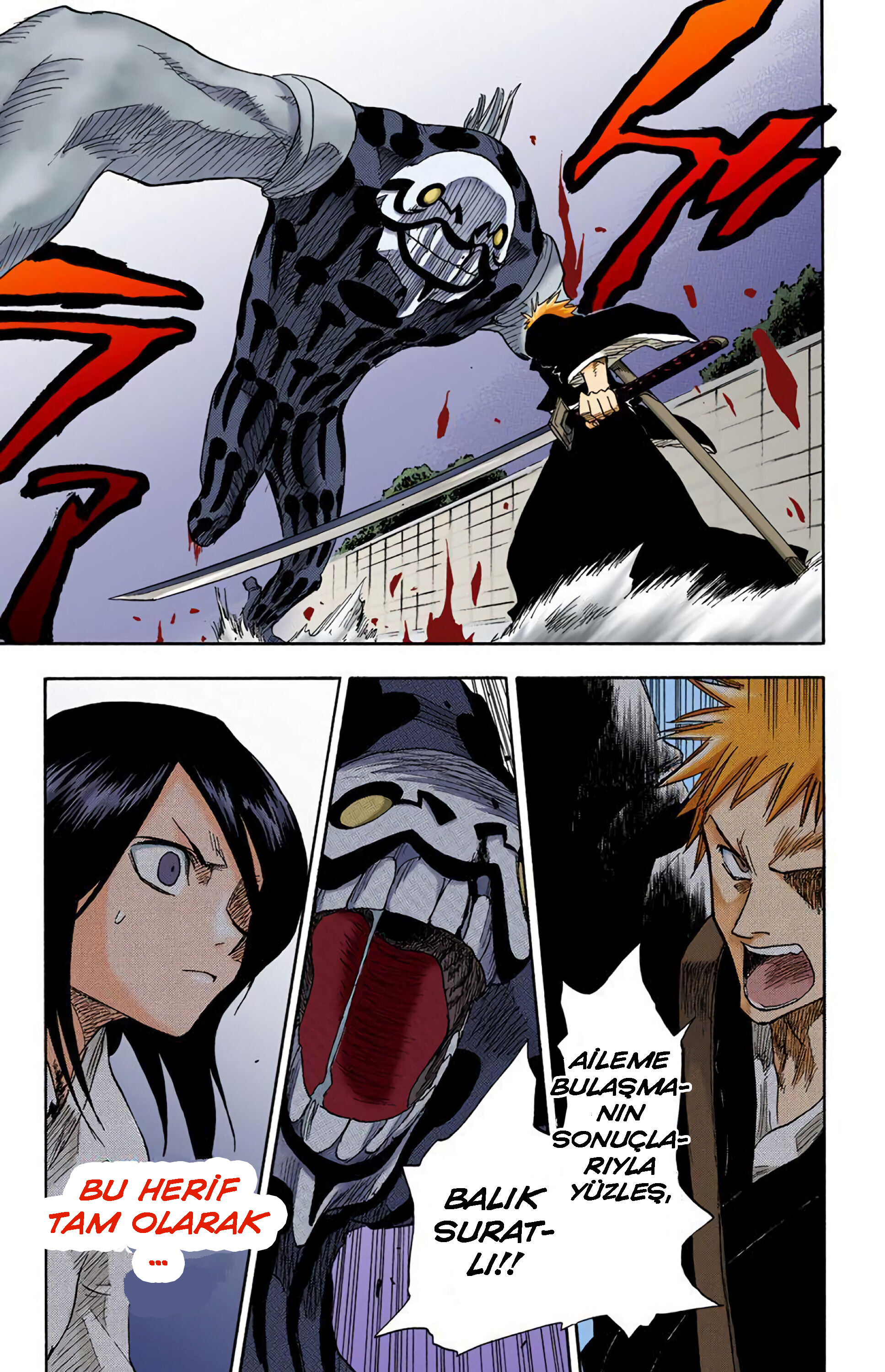 Bleach (Official Colored) Ölüm ve Çilek 第54页
