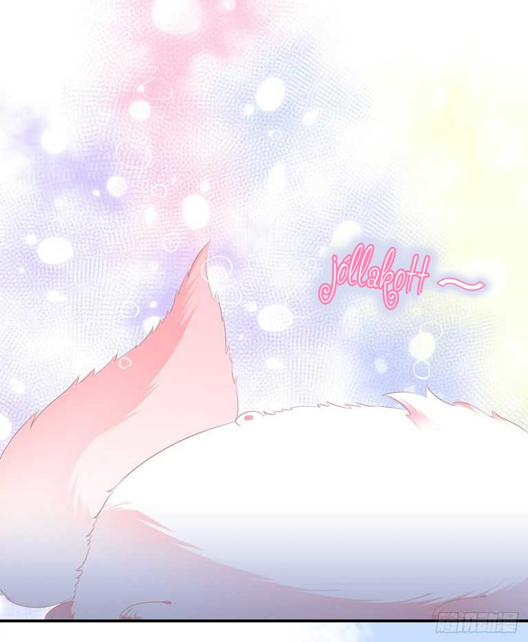 Fox Concubine, Don't Play With Fire Vol. 1 Ch. 1.5 第9页